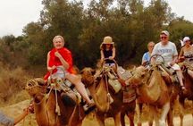 Comingl Caravan in Sousse