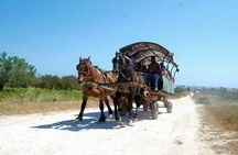 Comingl Caravan in Sousse