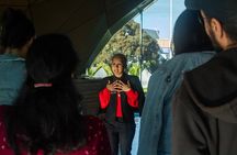 Auckland Urban Māori Experience - Small Group Tour In Auckland