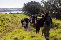 Auckland Urban Māori Experience - Small Group Tour In Auckland