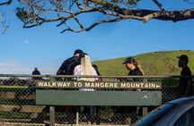 Auckland Urban Māori Experience - Small Group Tour In Auckland
