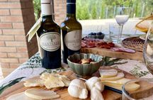 Matera : Centuries-Old Olive Grove Tour with Oil and Local Tasting