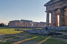 Paestum Archeological Park and Museum Walk