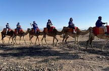 Marrakech: Agafay Desert Dinner, Camel Ride & Quad Biking.