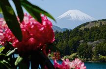 Hakone: Enchanting Fujisan