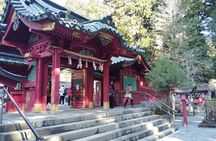 Hakone Scenic Adventure Nature and Tranquil Journey 