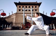 Kungfu Class and Bicycling on Xi'an City Wall