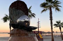 Birding By Sea and Land 4hr. La Paz Mexico