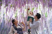 Nami Island and Begonia Bird Park Tour from Seoul (opt Railbike)