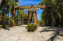 Gumbalimba Zip Line, and Preservation Eco-Park
