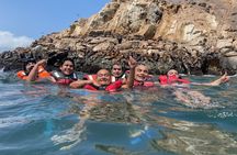 Swimming with Sea Lions on Palomino Island in Lima with Tickets