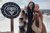NON BUS VIP GMC Yukon Traverse Old Mission Peninsula Wine Tour 
