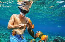 Punta Cana Catalina Island Catamaran Tour Package Deal