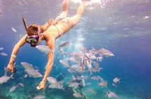 Punta Cana Catalina Island Catamaran Tour Package Deal