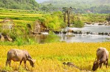 3-Day Private Authentic Tour of Mai Chau & Pu Luong from Hanoi