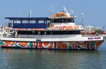 Miami Biscayne Bay Sightseeing Cruise