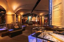 Washington DC's Museum of the Bible guided tour Experience