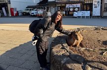 Miyajima Exploring Highlights and Sunset Cruise