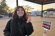 Miyajima Exploring Highlights and Sunset Cruise