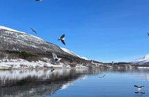Tromso Fishing Adventure 