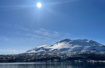 Tromso Fishing Adventure 