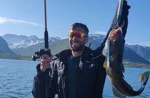 Tromso Fishing Adventure 