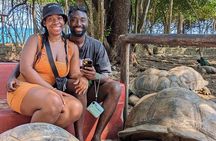 Private Full Day Tour to Spice Farm Stone Town and Prison Island