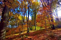 Hiking Tour to the Peak of Hungary