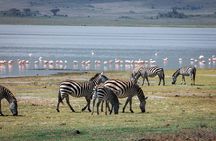 5 Days Safari Tarangire, Serengeti, Ngorongoro & Lake Manyara