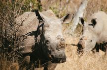 5 Days Safari Tarangire, Serengeti, Ngorongoro & Lake Manyara
