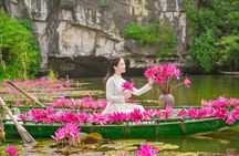 Ninh Binh - Trang An - Hoa Lu Full Day Trip Buffet Lunch