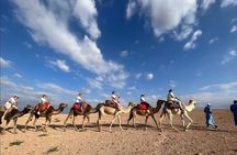 Diner show in Agafay Désert & Camels Ride 