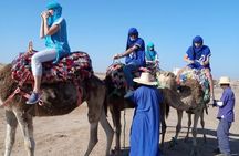 Diner show in Agafay Désert & Camels Ride 