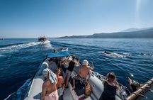 Kamiros Skala: Marine Life Experience and Alimia Island 