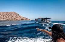 Kamiros Skala: Marine Life Experience 