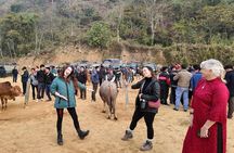 Ha Giang Loop Motorbike Adventure – 3 Days from Hanoi