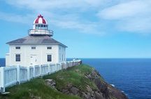 Explore St. John's Scenic Bus Tour to Cape Spear and Quidi Vidi