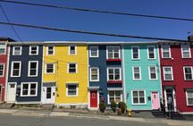 Explore St. John's Scenic Bus Tour to Cape Spear and Quidi Vidi