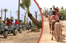 Half day Quad and Camel Ride