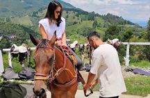 Scenic Horseback Riding in the Medellín Mountains