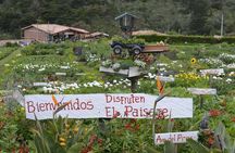 Flower Farm & Silletas Tour in Santa Elena Medellin 