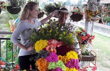 Flower Farm & Silletas Tour in Santa Elena Medellin 