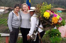 Flower Farm & Silletas Tour in Santa Elena Medellin 