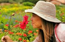 Flower Farm & Silletas Tour in Santa Elena Medellin