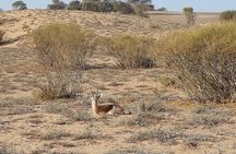 Souss Massa National Park Tour