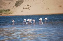 Souss Massa National Park Tour