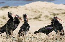 Souss Massa National Park Tour