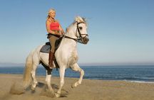 Casablanca Beach Horseback Riding Experience with Hotel Transfers