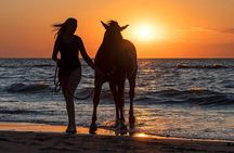 Casablanca Beach Horseback Riding Experience with Hotel Transfers