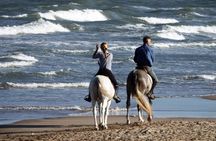 Casablanca Beach Horseback Riding Experience with Hotel Transfers